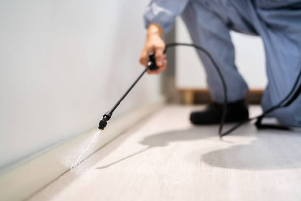 Licensed Fumigation Services service in Georgetown County County, SC - Nex Pest Control